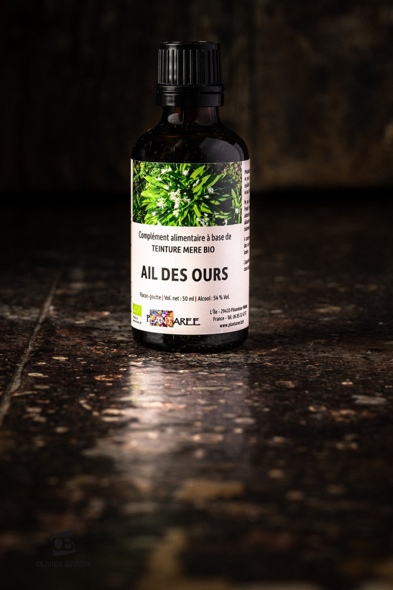 AIL DES OURS BIO